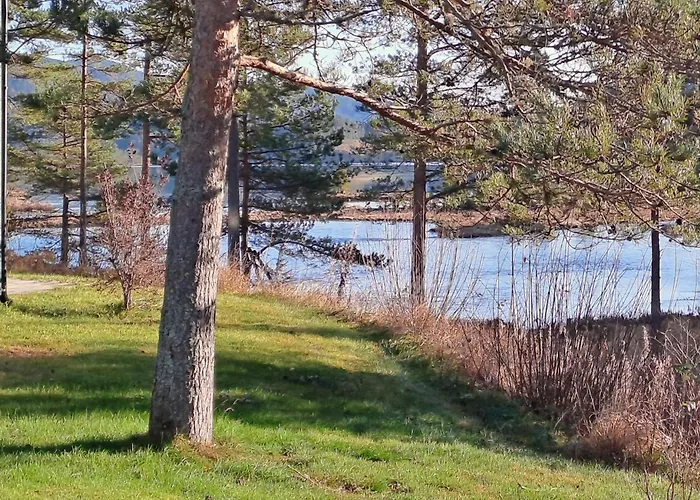 Elg - 2 Vakantiehuis